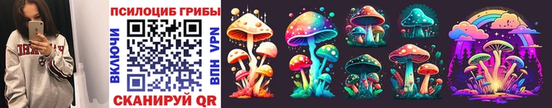 дарнет шоп  Сунжа  Галлюциногенные грибы GOLDEN TEACHER 